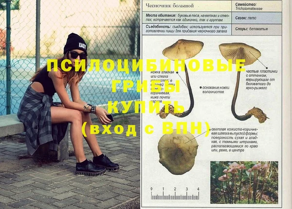ПСИЛОЦИБИНОВЫЕ ГРИБЫ Снежногорск