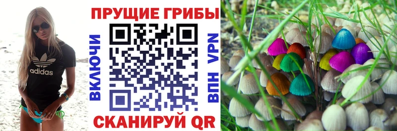Галлюциногенные грибы ЛСД  Великие Луки 