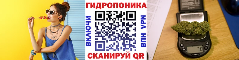 Конопля план  Великие Луки 